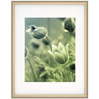 Nielsen Bainbridge Cosmopolitan Frames satin gold 11 in. x 14 in. 8 in. x 10 in. opening