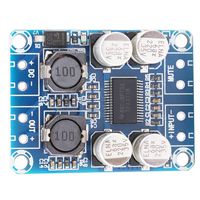 TPA3118 Class D Amplifier Board, Digital Subwoofer Power Amplifier Board