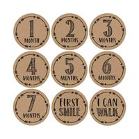 16 Rustic Baby Milestone Stickers, 12 Monthly Photo Picture Props for Girl or Boy Infant Onesie, 1st Year Belly Decals, Scrapbook Memory Registry Gift, Best Shower Basket Present, Unisex Birth Months