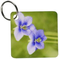 3dRose Blue Violet flower, Great Smoky Mountains, TN - US43 RKL0016 - Raymond Klass - Key Chains, 2.25 x 4.5 inches, set of 2 (kc_94350_1)