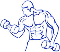 hBARSCI Bodybuilder Vinyl Decal - 5 Inches - for Cars, Trucks, Windows, Laptops, Tablets, Outdoor-Grade 2.5mil Thick Vinyl - Royal Blue