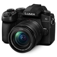 Panasonic LUMIX G95 20.3 Megapixel Mirrorless Camera, 12-60mm F3.5-5.6 Micro Four Thirds Lens, 5-Axis Dual I.S. 2, 4K 24p 30p Video, Pre-Installed V-Log L, 3" Flip-Out Touchscreen - DC-G95MK (Black)