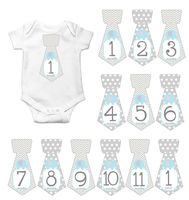 Gift Set of 12 Tie Keepsake Photography Monthly Baby Stickers with Blue Elephants on Gray T018