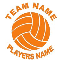 Wild Dingos LLC Sports Volleyball LRG 5x5 Custom Vinyl Decal Sticker Orange