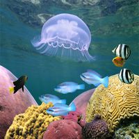 AOFOTO 5x5ft Underwater Backdrop Jellyfish Tropical Fish Corals Photography Background Kid Girl Little Boy Child Artistic Portrait Undersea Scene Photo Shoot Studio Props Video Drop Wallpaper Drape