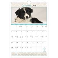 AT-A-GLANCE Monthly Wall Calendar, January 2018 - December 2018, 12" x 17", Puppies (DMW40428)