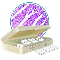 50 Pcs Microscope Slides Prepared for Kids Students Biology Nature Science Learning Home School Lab Demonstration