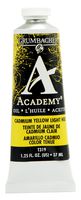 Grumbacher Academy Oil Paint, 37ml/1.25 Ounce, Cadmium Yellow Light Hue (T319)