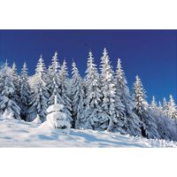 Plastic Winter Scene Backdrop Banner