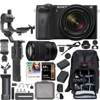 Sony a6600 4K Mirrorless Camera + 18-135mm F3.5-5.6 Lens ILCE-6600MB Filmmaker's Kit with DJI Ronin-SC 3-Axis Handheld Gimbal Stabilizer Bundle + Deco Photo Backpack Case + 64GB Card + Software