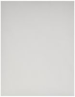 Pentax Letter Size Paper, 100 sheets (PTX 201960)