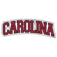 Craftique South Carolina Decal (South Carolina Arch Decal (10''), 10")