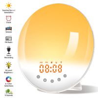 Wake Up Light, Nature Sunrise Simulation Alarm Clock, Recording Function, Snooze Function, 6 Colors Atmosphere Lamp, 9 Nature Sounds and FM Radio Clock for Kids Adults Bedrooms