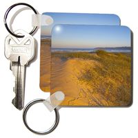 3dRose Sunrise, grasses at Pismo Beach, California - US05 CHA0075 - Chuck Haney - Key Chains, 2.25 x 4.5 inches, set of 4 (kc_88303_2)
