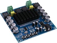 Yeeco Bluetooth Audio Amplifier Board DC 12V-24V Dual Channel 100W+100W HiFi Wireless Bluetooth 4.0 Audio Receiver Digital Amplifier Board Bluetooth Power Amplifier