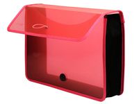 Lion Expand-N-File Poly Expanding Wallet, Transparent Pink (48160-PK)