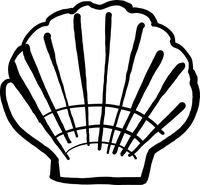 hBARSCI Seashell Vinyl Decal - 5 Inches - for Cars, Trucks, Windows, Laptops, Tablets, Outdoor-Grade 2.5mil Thick Vinyl - Black