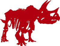 hBARSCI Triceratops Skeleton Vinyl Decal - 5 Inches - for Cars, Trucks, Windows, Laptops, Tablets, Outdoor-Grade 2.5mil Thick Vinyl - Red