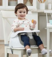 Regalo 2-in-1 Booster Seat and Grow with Me Floor Seat with Removable Feeding Tray, Indoor and Outdoor Activity Chair, Gray