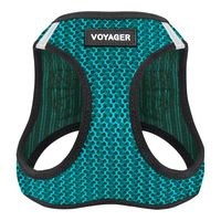 Voyager Step-in Air Dog Harness - All Weather Mesh, Step in Vest Harness for Small and Medium Dogs by Best Pet Supplies - Turquoise, Medium (Chest: 16" - 18")