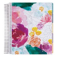Erin Condren 12 month 2017 Life Planner - Watercolor Floral Horizontal Colorful, Colorful Interior (AMA-12M 2017 33)