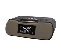 Sangean RCR-20 FM-RDS (RBDS) AM/Bluetooth/Aux-in/USB Phone Charging Digital Tuning Clock Radio with Battery Backup (Gray/Gold)