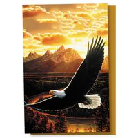 Tree-Free Greetings EcoNotes 12 Count Soaring Eagle All Occasion Notecard Set with Envelopes, 4 x 6 Inches (FS56281)