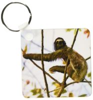 3dRose Three-toed sloth Bradypus variegatus - Key Chains, 2.25 x 4.5 inches, set of 2 (kc_10379_1)