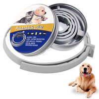 Nicevvvv 1 Pack Flea and Tick Control Adjustable Waterproof Collar Protect for Cats - Last for 8 Months with Natural Plant Extracts Pet Treatment Prevention Fits All