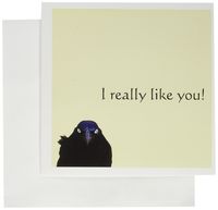 3dRose Grackle, I Really Like You Greeting Cards, Set of 6 (gc_11825_1)