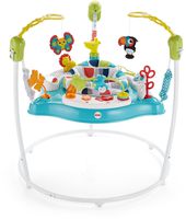 Fisher-Price Color Climbers Jumperoo