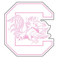 Craftique South Carolina Decal PINK C GAMECOCK DECAL 6"