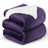 Bedsure Sherpa Fleece Blanket Queen Size Purple Plum Eggplant Plush Blanket Fuzzy Soft Blanket Microfiber