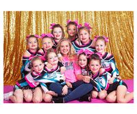 Gold Shimmer Sequin Fabric Photography Backdrop (20FTX10FT)