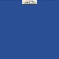 50 Bright Royal Blue Color 65# Cover/Card Paper Sheets 12 X 12 Inches Scrapbook Album Cover Size - 65 lb/pound Light Weight Cardstock - Quality Smooth Paper Surface