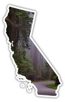 California State Shape Redwood National Park Sticker Decal 3x5 inches
