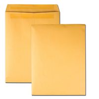 Quality Park Catalog Envelopes, Redi-Seal, Brown Kraft, 9.5 x 12.5, 100 per Box, (43667)