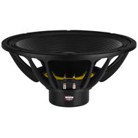 B&C Speakers B&C 21DS115-4 21" Professional Neodymium Subwoofer 4 Ohm