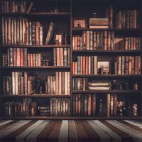 Leowefowa 5X5FT Bookshelf Backdrop Bookcase Study Room Library Books Gloomy Grunge Vintage Stripes Wood Floor Interior Vinyl Photography Background Kids Children Students Adults Photo Studio Props