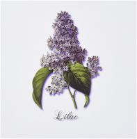 3dRose Set of 12 Greeting Cards, Botanical Print of a Lavender Spring Blooming Fragrant Flower (gc_171228_2)