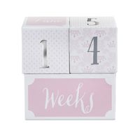 Baby Aspen My First Milestone Princess Age Blocks | Baby Picture Props for Photo Sharing The First Year