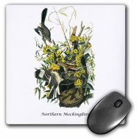 3dRose Northern Mockingbird by John James Audubon - Mouse Pad, 8 by 8 inches (mp_114035_1)
