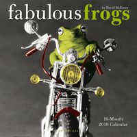 Graphique Fabulous Frogs Wall Calendar, 16-Month 2019 Wall Calendar with Iconic David McEnery Photographs, 3 Languages & Major Holidays, 2019 Calendar, 12" x 12"