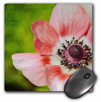 3dRose LLC 8 x 8 x 0.25 Inches Mouse Pad, Pretty Pink Anemone, Flower Photography (mp_155756_1)