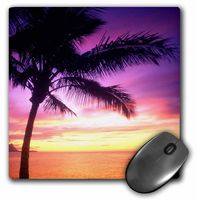 3dRose LLC 8 x 8 x 0.25 Inches Sunset Hanalei Kauai Hawaii USA Douglas Peebles Mouse Pad (mp_89693_1)