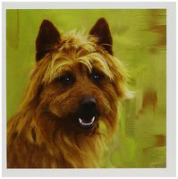 3dRose Australian Terrier - Greeting Cards, 6 x 6 inches, set of 6 (gc_4260_1)