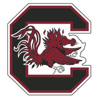 South Carolina Gamecocks, USC Premium Vinyl Sticker 4" Decal Bumper Car Truck Laptop
