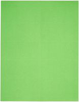Compulabel Fluorescent Green Address Labels for Laser Printers, 4 x 2 Inches, Permanent Adhesive, 10 per Sheet, 1000 Sheets per Carton (340011)