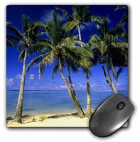 3dRose LLC 8 x 8 x 0.25 Palm Lined Beach Cook Islands South Pacific Michael DeFreitas Mouse Pad (mp_85171_1)