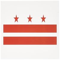 3dRose Image of Flag of Washington Dc, Greeting Cards, Set of 6 (gc_174161_1)